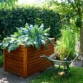 Raised Bed Vegetable Garden