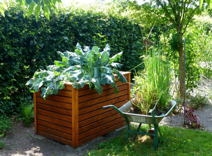 Raised Bed Vegetable Garden