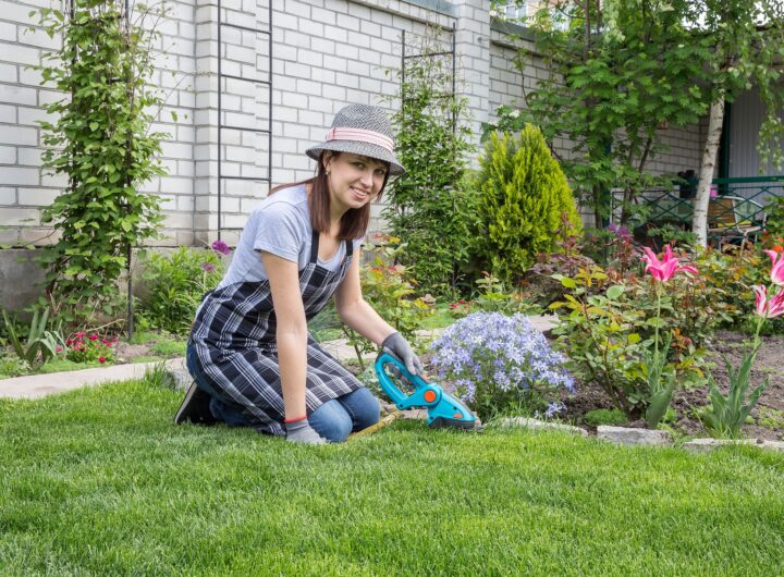 5.6K a Month Gardening